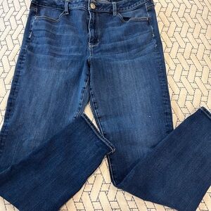 Womens AEO Jeggings size 16 Long